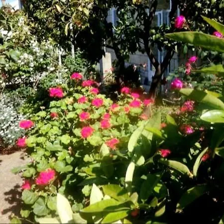 펜션 House Near Old Town, Terraces 두브로브니크