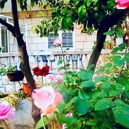 House Near Old Town, Terraces